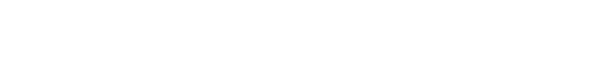 FUS IT Systems Logo